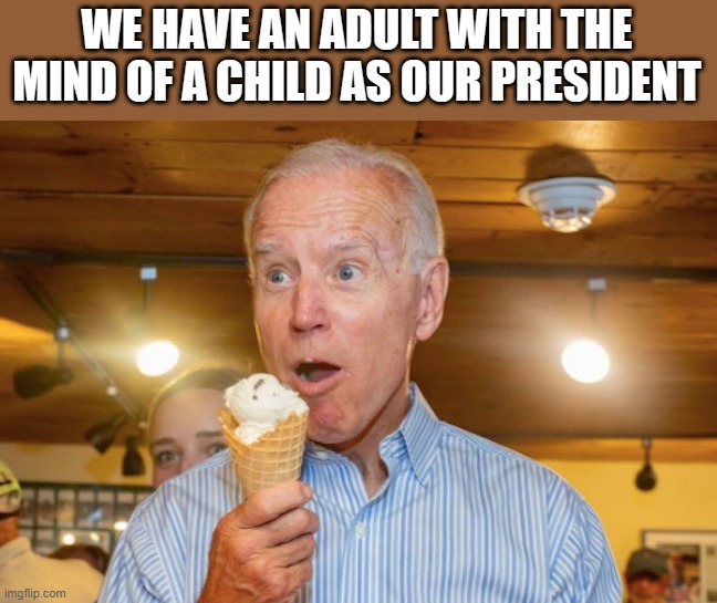 WE HAVE AN ADULT WITH THE MIND OF A CHILD AS OUR PRESIDENT | made w/ Imgflip meme maker