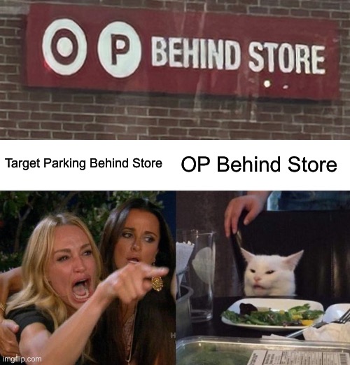 Target Parking Behind Store; OP Behind Store | image tagged in memes,woman yelling at cat | made w/ Imgflip meme maker