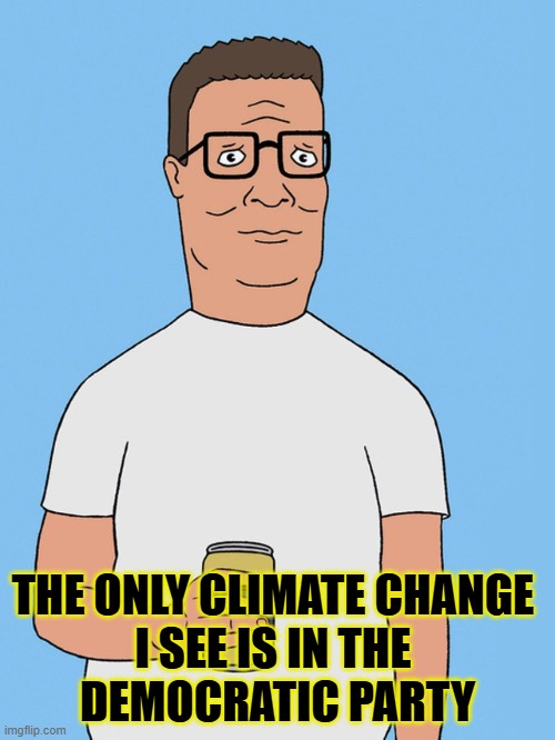 The Real CC | THE ONLY CLIMATE CHANGE 
I SEE IS IN THE 
DEMOCRATIC PARTY | image tagged in hank hill | made w/ Imgflip meme maker