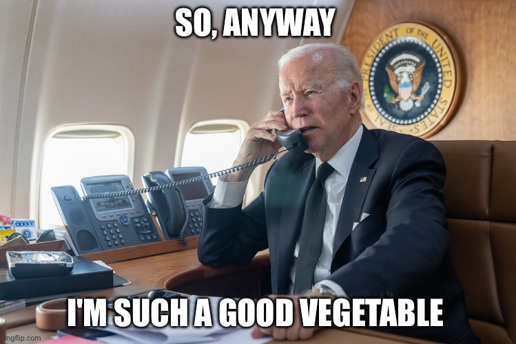 Biden on the phone | SO, ANYWAY; I'M SUCH A GOOD VEGETABLE | image tagged in biden on the phone,joe biden | made w/ Imgflip meme maker