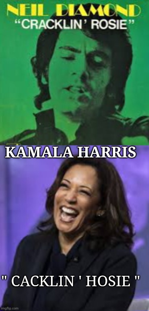 kamala harris | KAMALA HARRIS; " CACKLIN ' HOSIE " | image tagged in kamala harris | made w/ Imgflip meme maker