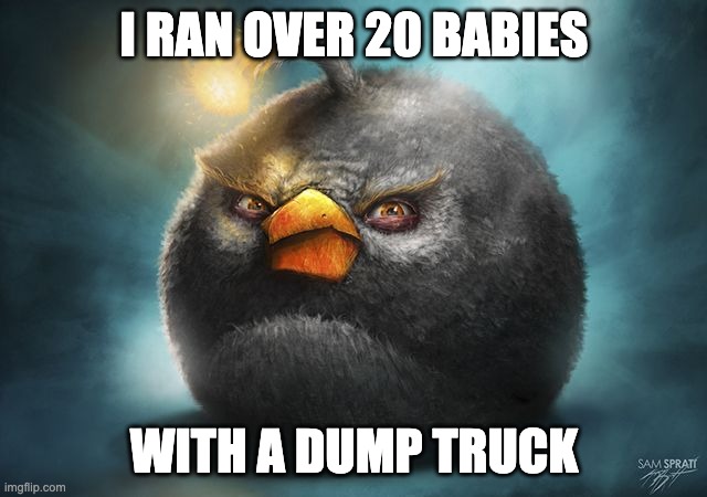 angry birds bomb | I RAN OVER 20 BABIES; WITH A DUMP TRUCK | image tagged in angry birds bomb | made w/ Imgflip meme maker