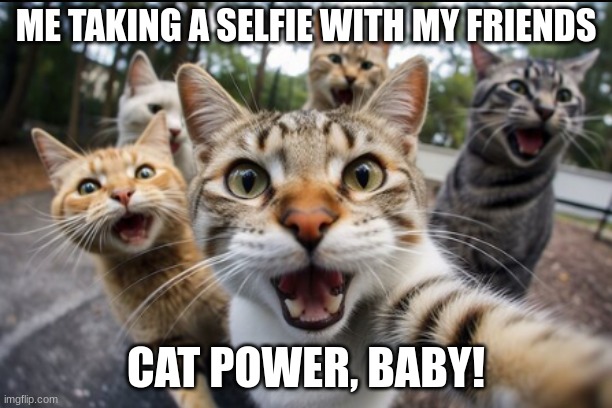 Cats Is Me | ME TAKING A SELFIE WITH MY FRIENDS; CAT POWER, BABY! | image tagged in cats,selfie,funny,best friends | made w/ Imgflip meme maker