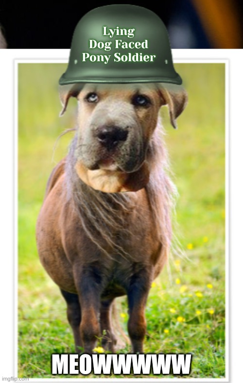 Lying Dog Faced Pony Soldier (2) | Lying Dog Faced Pony Soldier MEOWWWWW | image tagged in lying dog faced pony soldier 2 | made w/ Imgflip meme maker