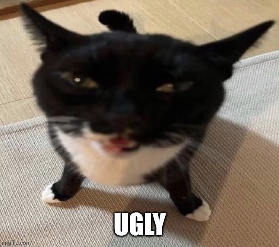 ㅤ | UGLY | image tagged in cat of anger | made w/ Imgflip meme maker