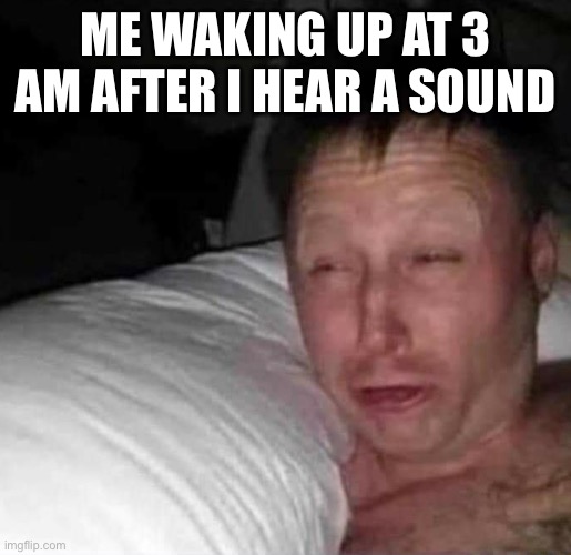 So true | ME WAKING UP AT 3 AM AFTER I HEAR A SOUND | image tagged in sleepy guy | made w/ Imgflip meme maker