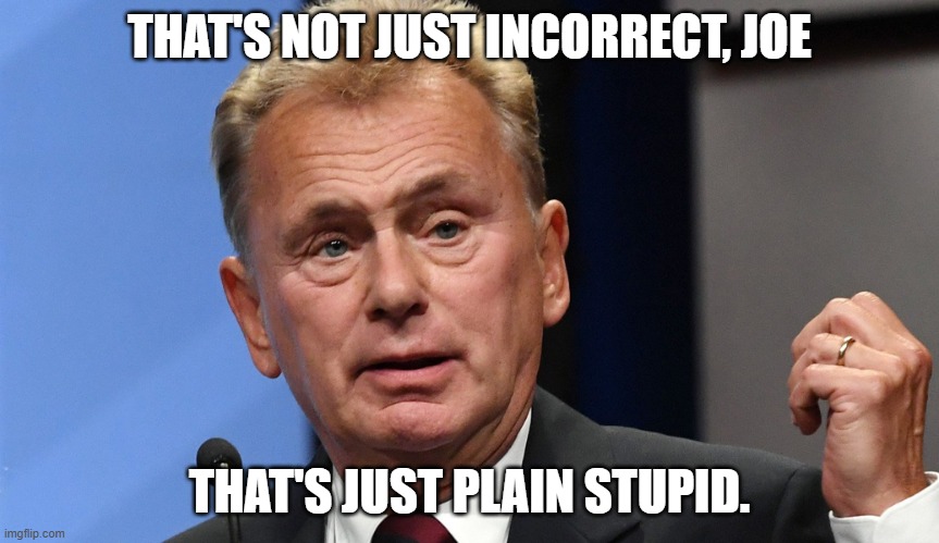 Pat Sajak Going Postal | THAT'S NOT JUST INCORRECT, JOE THAT'S JUST PLAIN STUPID. | image tagged in pat sajak going postal | made w/ Imgflip meme maker