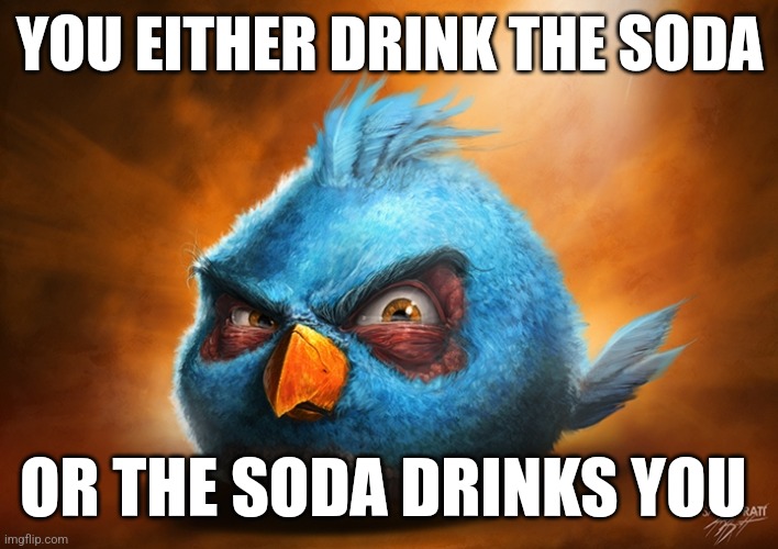 angry birds blue | YOU EITHER DRINK THE SODA; OR THE SODA DRINKS YOU | image tagged in angry birds blue | made w/ Imgflip meme maker