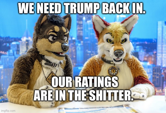 Ratings | WE NEED TRUMP BACK IN. OUR RATINGS ARE IN THE SHITTER. | image tagged in furry news,donald trump | made w/ Imgflip meme maker