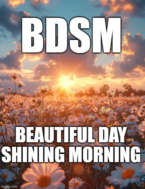 gm | BDSM; BEAUTIFUL DAY
SHINING MORNING | image tagged in fun,memes,humour | made w/ Imgflip meme maker