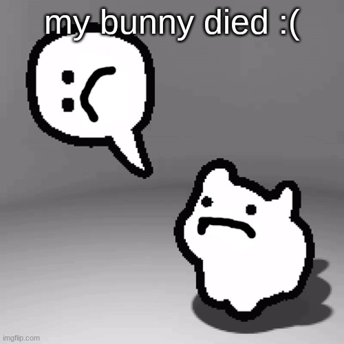 . | my bunny died :( | image tagged in o | made w/ Imgflip meme maker