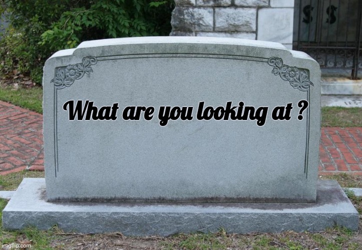 Gravestone | What are you looking at ? | image tagged in gravestone | made w/ Imgflip meme maker