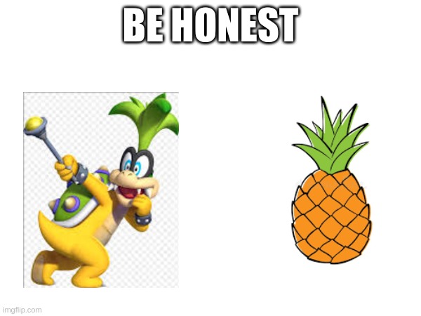 Bro. XD | BE HONEST | image tagged in nintendo,pineapple | made w/ Imgflip meme maker