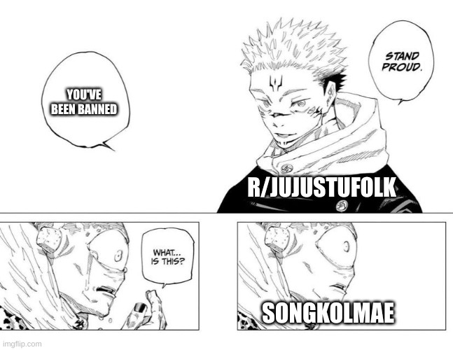 Stand Proud meme JJK | YOU'VE BEEN BANNED; R/JUJUSTUFOLK; SONGKOLMAE | image tagged in stand proud meme jjk | made w/ Imgflip meme maker