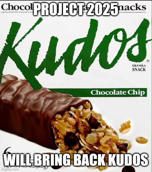 1995 | PROJECT 2025; WILL BRING BACK KUDOS | made w/ Imgflip meme maker