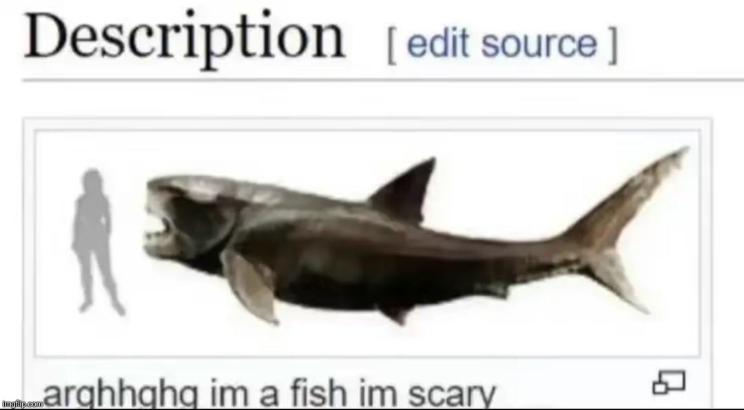 fish | made w/ Imgflip meme maker