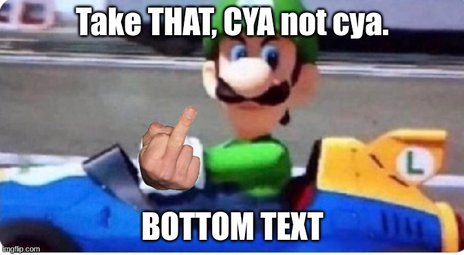 Luigi seems very mad, dunno why? | Take THAT, CYA not cya. BOTTOM TEXT | image tagged in angry luigi | made w/ Imgflip meme maker