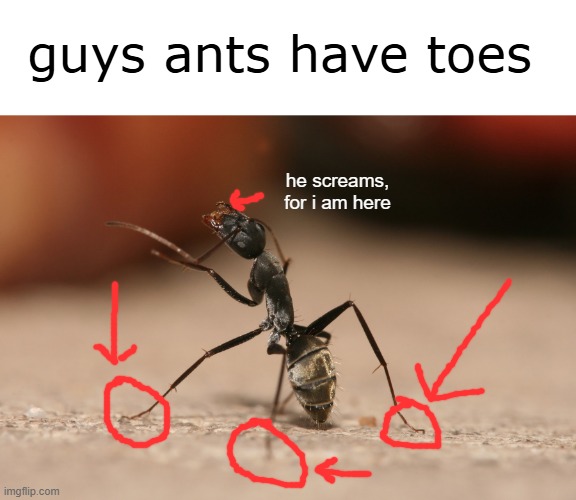 he shall not escape | guys ants have toes; he screams, for i am here | made w/ Imgflip meme maker