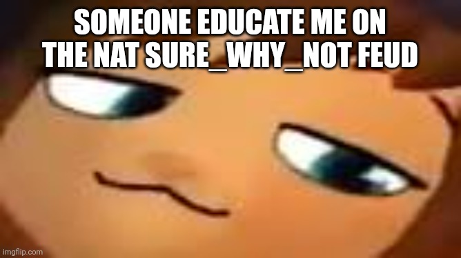 smug hat kid.mp4 | SOMEONE EDUCATE ME ON THE NAT SURE_WHY_NOT FEUD | image tagged in smug hat kid mp4 | made w/ Imgflip meme maker