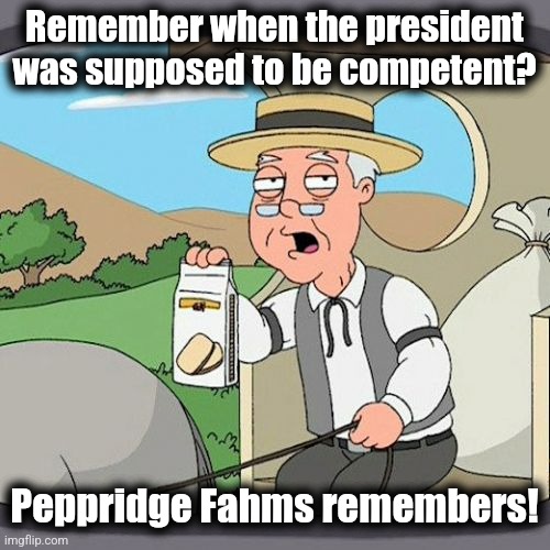 Pepperidge Farm Remembers Meme | Remember when the president was supposed to be competent? Peppridge Fahms remembers! | image tagged in memes,pepperidge farm remembers,joe biden,dementia,incompetence,democrats | made w/ Imgflip meme maker