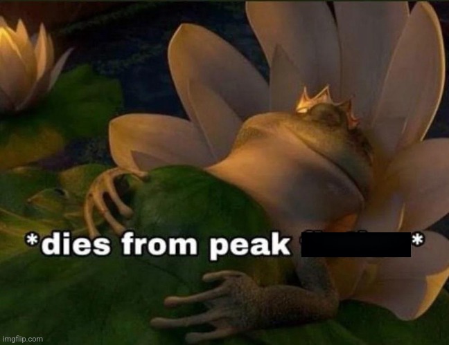Dies of Peak Fiction | image tagged in dies of peak fiction | made w/ Imgflip meme maker