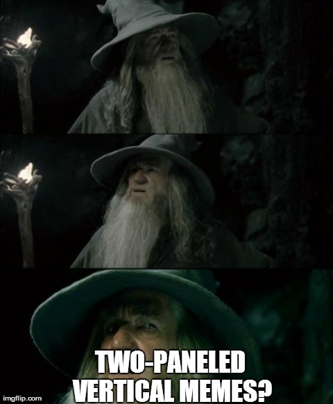 Confused Gandalf | TWO-PANELED VERTICAL MEMES? | image tagged in memes,confused gandalf,AdviceAnimals | made w/ Imgflip meme maker