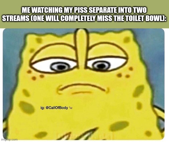 Sponge Bob Looking Down | ME WATCHING MY PISS SEPARATE INTO TWO STREAMS (ONE WILL COMPLETELY MISS THE TOILET BOWL): | image tagged in sponge bob looking down | made w/ Imgflip meme maker