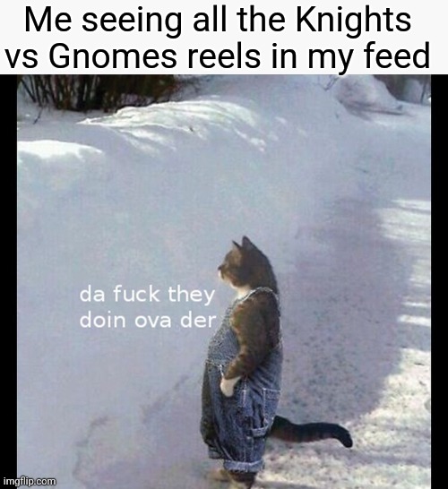 Wot is going on? | Me seeing all the Knights vs Gnomes reels in my feed | image tagged in what are they doing over there,knights,gnomes | made w/ Imgflip meme maker