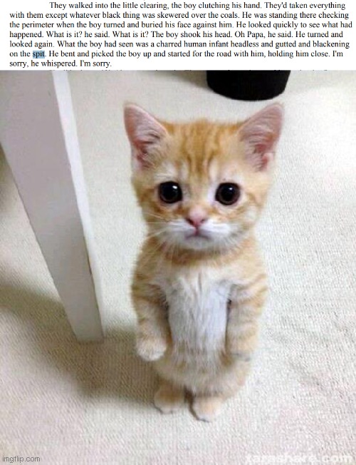 image tagged in memes,cute cat | made w/ Imgflip meme maker