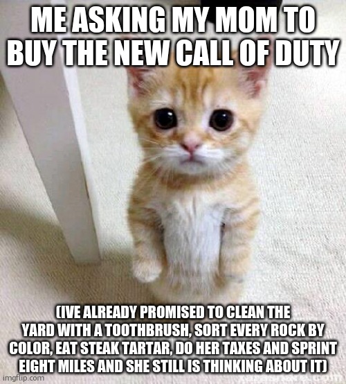 bro the sheer lengths i gotta go to to get stuff from my mother | ME ASKING MY MOM TO BUY THE NEW CALL OF DUTY; (IVE ALREADY PROMISED TO CLEAN THE YARD WITH A TOOTHBRUSH, SORT EVERY ROCK BY COLOR, EAT STEAK TARTAR, DO HER TAXES AND SPRINT EIGHT MILES AND SHE STILL IS THINKING ABOUT IT) | image tagged in memes,cute cat,mother,begging,call of duty,relatable memes | made w/ Imgflip meme maker
