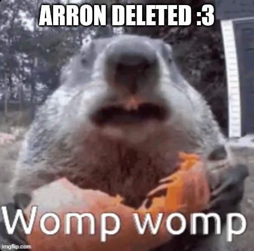 ARRON DELETED :3 | image tagged in womp womp | made w/ Imgflip meme maker