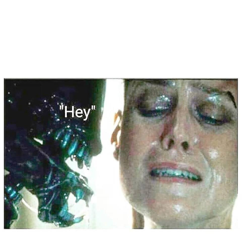 High Quality ripleyalien Blank Meme Template