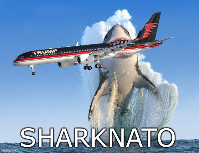 Trump’s Worst Nightmare | SHARKNATO | image tagged in trump shark | made w/ Imgflip meme maker