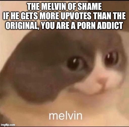 Melvin of Shame | image tagged in melvin of shame | made w/ Imgflip meme maker