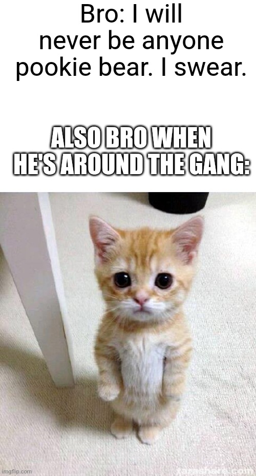 Image title | Bro: I will never be anyone pookie bear. I swear. ALSO BRO WHEN HE'S AROUND THE GANG: | image tagged in blank white template,memes,cute cat,funny | made w/ Imgflip meme maker