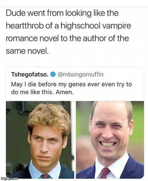 image tagged in high school,vampire,romance,novel,author | made w/ Imgflip meme maker