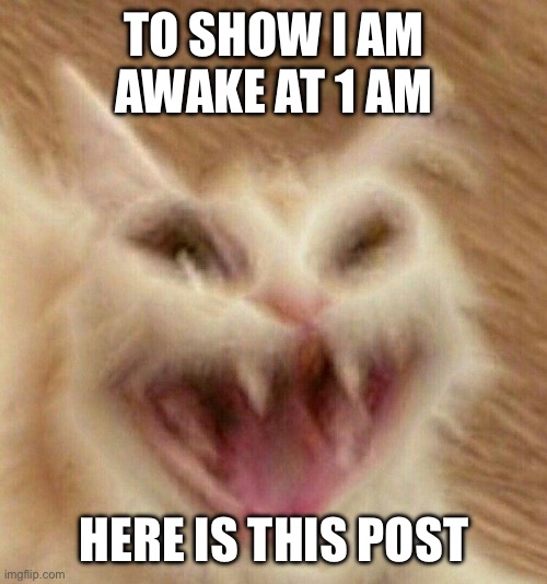 XD | TO SHOW I AM AWAKE AT 1 AM; HERE IS THIS POST | image tagged in xd | made w/ Imgflip meme maker