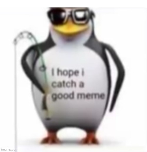 image tagged in i hope i catch a good meme | made w/ Imgflip meme maker