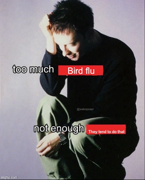 The strat is to post the dumbest shit possible then get praised for your excellent taste in shit posts | Bird flu; They tend to do that | image tagged in too much not enough | made w/ Imgflip meme maker