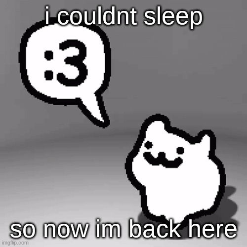 did anything happen? | i couldnt sleep; so now im back here | image tagged in 3 cat | made w/ Imgflip meme maker