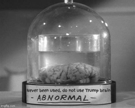 If a brain is needed do not break glass! | image tagged in frankenstein,abby normal,like new never been used,trumpstein,sfbs,maga mind | made w/ Imgflip meme maker