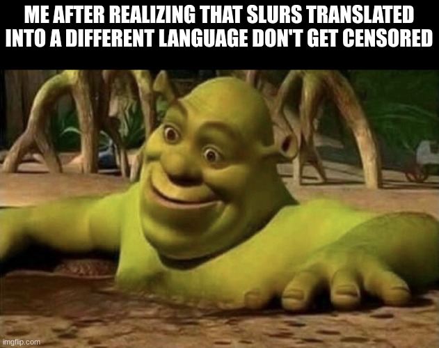 Shocked Shrek | ME AFTER REALIZING THAT SLURS TRANSLATED INTO A DIFFERENT LANGUAGE DON'T GET CENSORED | image tagged in shocked shrek | made w/ Imgflip meme maker
