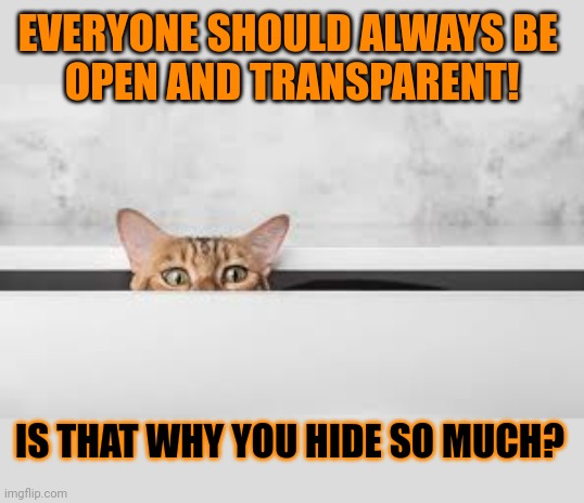 This #lolcat wonders why hoo-mens hide so much | EVERYONE SHOULD ALWAYS BE 
OPEN AND TRANSPARENT! IS THAT WHY YOU HIDE SO MUCH? | image tagged in transparent,transparency,lolcat,open,think about it | made w/ Imgflip meme maker