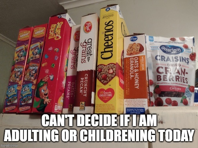 adulting | image tagged in adulting | made w/ Imgflip meme maker