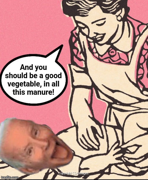 And you
should be a good
vegetable, in all
this manure! | made w/ Imgflip meme maker