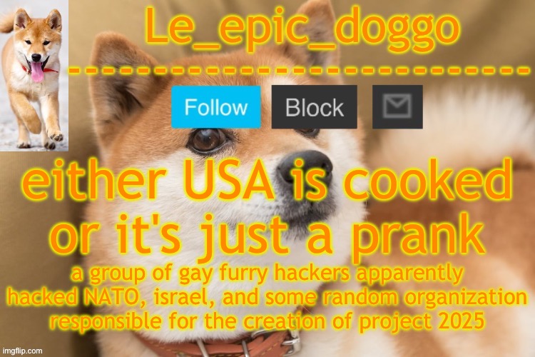 epic doggo's temp back in old fashion | either USA is cooked or it's just a prank; a group of gay furry hackers apparently hacked NATO, israel, and some random organization responsible for the creation of project 2025 | image tagged in epic doggo's temp back in old fashion | made w/ Imgflip meme maker