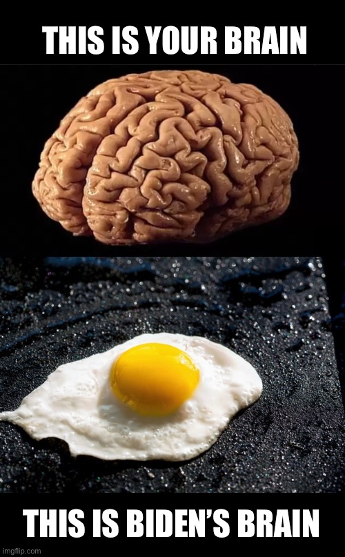 Any questions? | THIS IS YOUR BRAIN; THIS IS BIDEN’S BRAIN | image tagged in biden,his brain is a fried egg | made w/ Imgflip meme maker