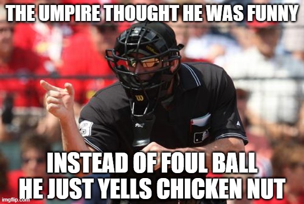 Funny Umpire | THE UMPIRE THOUGHT HE WAS FUNNY; INSTEAD OF FOUL BALL HE JUST YELLS CHICKEN NUT | image tagged in umpire | made w/ Imgflip meme maker