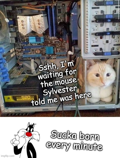 Computer mouse cat | Sshh, I'm waiting for the mouse Sylvester told me was here; Sucka born every minute | image tagged in cat,kitty,sylvester the cat,mouse | made w/ Imgflip meme maker