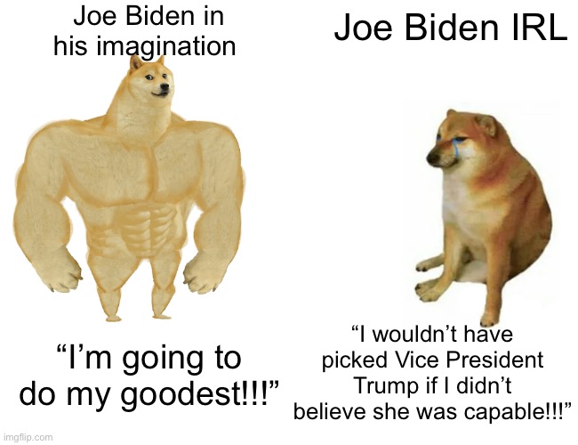 Buff Doge vs. Cheems | Joe Biden in his imagination; Joe Biden IRL; “I wouldn’t have picked Vice President Trump if I didn’t believe she was capable!!!”; “I’m going to do my goodest!!!” | image tagged in memes,buff doge vs cheems | made w/ Imgflip meme maker